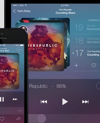 Portfolio Single Image